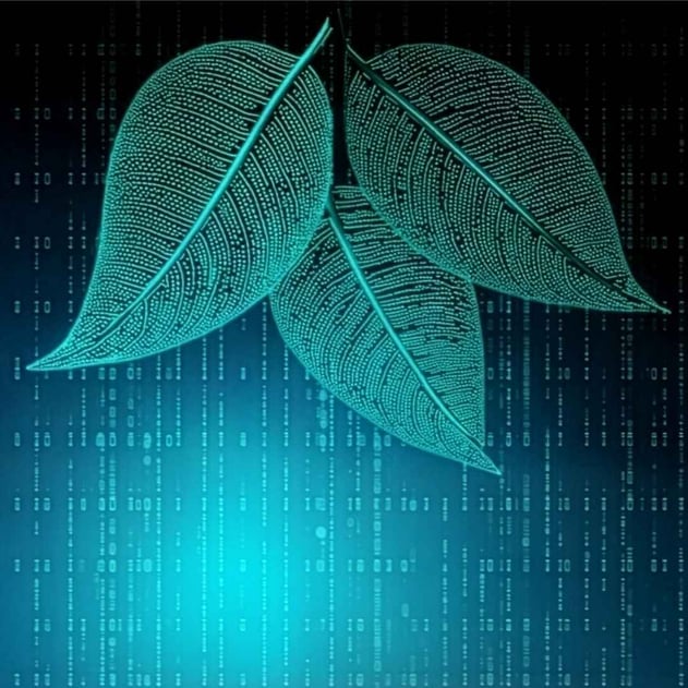 Three digital leaves made up of code on a teal background