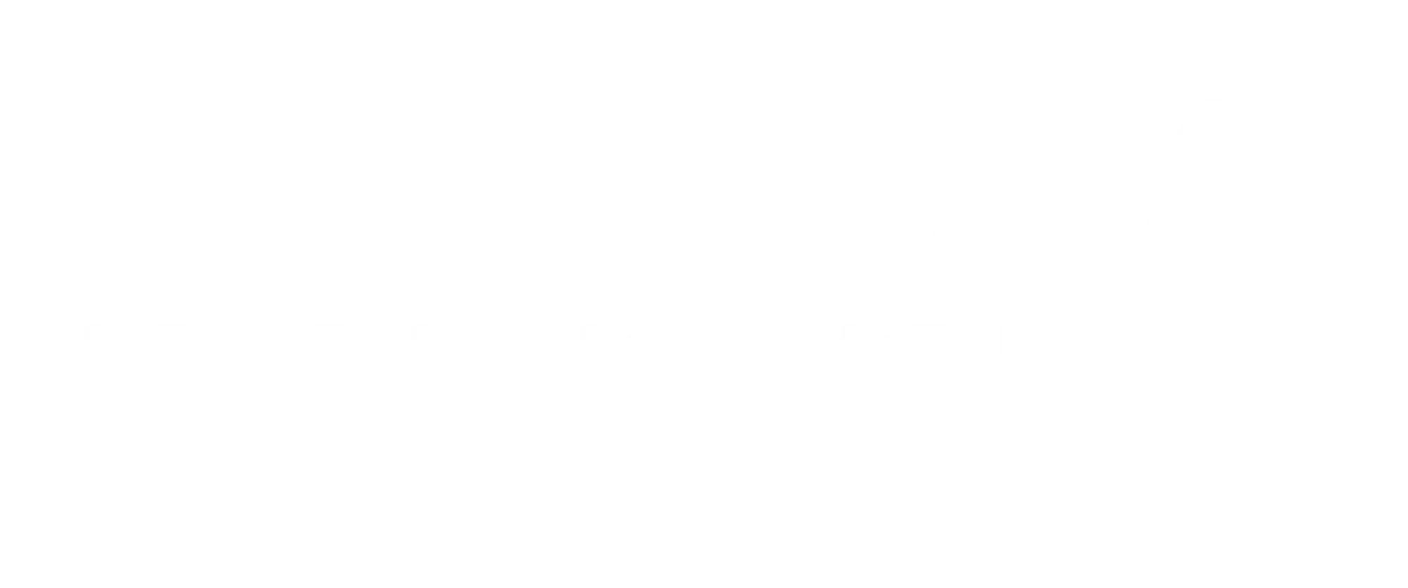 neuronup_logo-negativo white